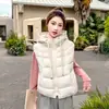 Nuevo chaleco acolchado con capucha estilo coreano, una chaqueta de algodón versátil para mujer, con un diseño acolchado de moda y una textura acanalada ligera.