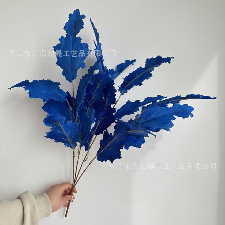 微信图片_202303241647077_副本