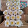 Directo de fábrica 4/5/6/7/8/9cm flor de huevo traje de baño viaje DIY accesorios para el cabello restaurante de té de leche flores decorativas
