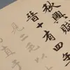 Cuaderno de Caligrafía Xingshu de Zhao Mengfu para Principiantes, Letra Pequeña Regular, Pincel Suave Estilo Pluma, Caligrafía para Adultos para Principiantes