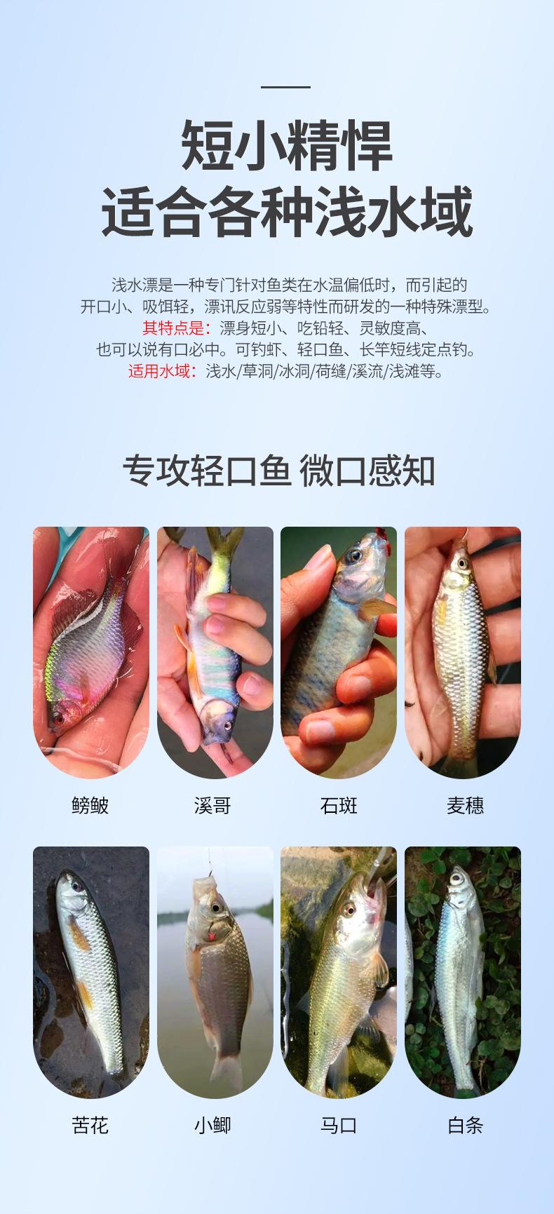 详情_02