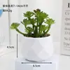 Venta al por mayor de plantas suculentas artificiales, lote mixto de plantas suculentas en maceta diamante, ventas directas de fábrica, decoraciones de plantas verdes para oficina