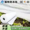 Novo produto transfronteiriço: tecido de proteção contra geada para plantas agrícolas e hortícolas, tecido não tecido spunbond de polipropileno, cobertura de geada respirável e translúcida