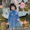 Vestido para Niña con Diseño de Mariposa 3D, Vestido de Princesa de Terciopelo Mink, Ropa Infantil de Comercio Exterior Nueva Otoño/Invierno 2026, Venta al por Mayor para Edades 3-8