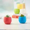 Macetas Pequeñas para Suculentas, Macetas Mini Bola de Piedra para Flores, Macetas Arcoíris, Macetas Perezosas de Plástico de Resina PP, Venta Directa del Fabricante