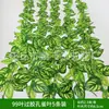 Enredadera Parthenocissus Uva Hoja de Vid Verde Pegada con Goma Decoración de Vid Falsa para Enrollar Tubería Enredadera Verde Plantas Verdes Plantas de Hojas Verdes