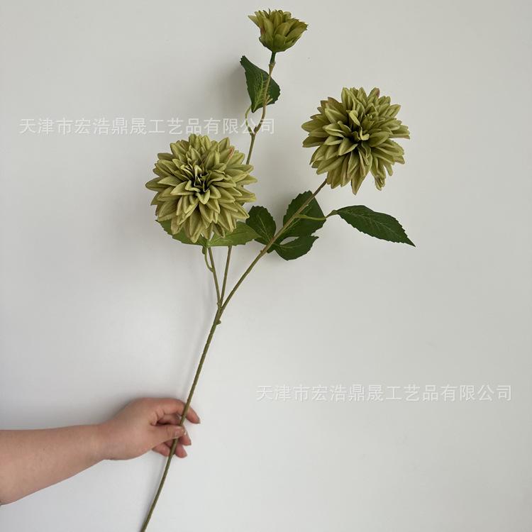 微信图片_202304201402131_副本