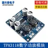 Placa amplificadora digital mono XH-M313 TPA3118 PBTL 1X60W 30W