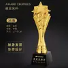 Troféu de Cristal em Resina Feito Sob Medida para Competições de Dança, Prêmios Infantis, Funcionários Destaques, Equipes de Empresa, Competições de Canto e Dança