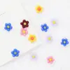 Nuevo Arte de Uñas Girasol Colorido Cara Sonriente Flor Colorida de Cinco Pétalos 3D Fresca Pequeña Decoración de Margarita de Resina Pedrería