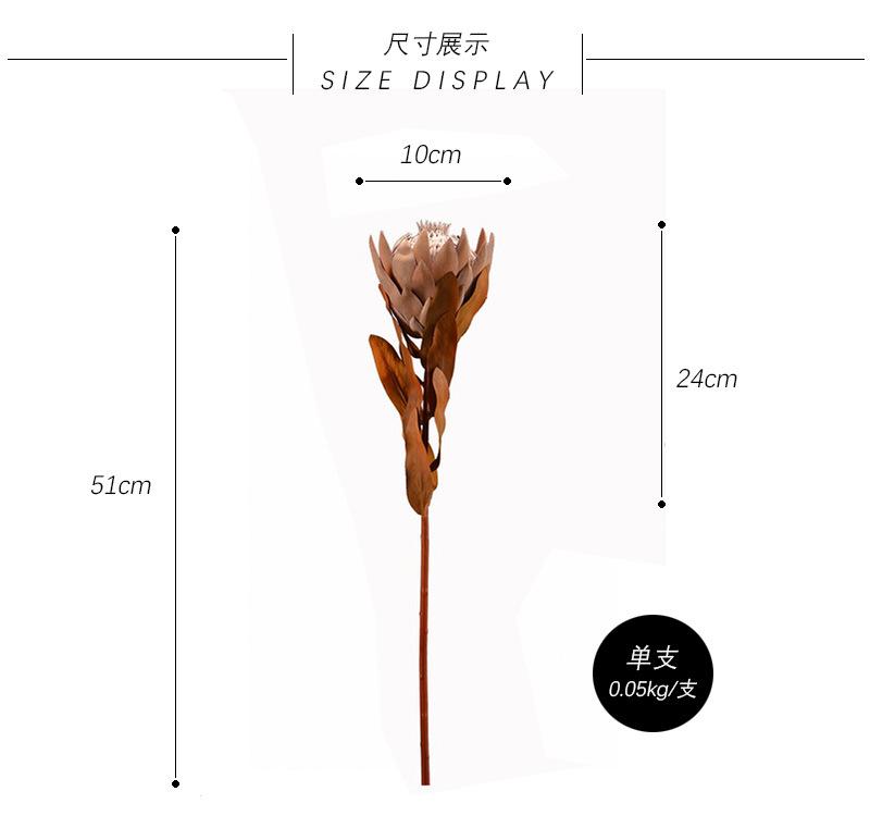尺寸展示2.jpg
