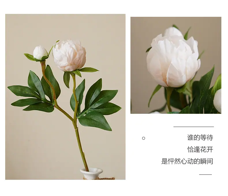 梵思2头芍药_07.jpg