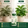 Kineshinex Spray Limpiador y Cuidado de Flores Artificiales Limpiador para Eliminar el Polvo de Plantas Verdes Artificiales de Casa Hojas de Plantas de Seda