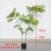 Árbol simulado Mimosa nueva planta biónica Zen china con fruta árbol falso en maceta sala de estar interior planta verde decorativa