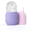 Molde de hielo para rostro de producto nuevo transfronterizo set de masaje facial productos de belleza de hielo facial molde de hielo facial