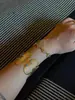 Estilo Étnico Tótem Tribal Moneda de Oro Incrustada Turquesa Collar Moda Versátil Pendientes Personalizados Diseño de Nicho Collar Largo