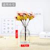 Vaso de Vidro Simples Nórdico Vaso de Flores Hidropônico Criativo Luz de Luxo Decoração de Mesa para Casa Ornamentos Atacado