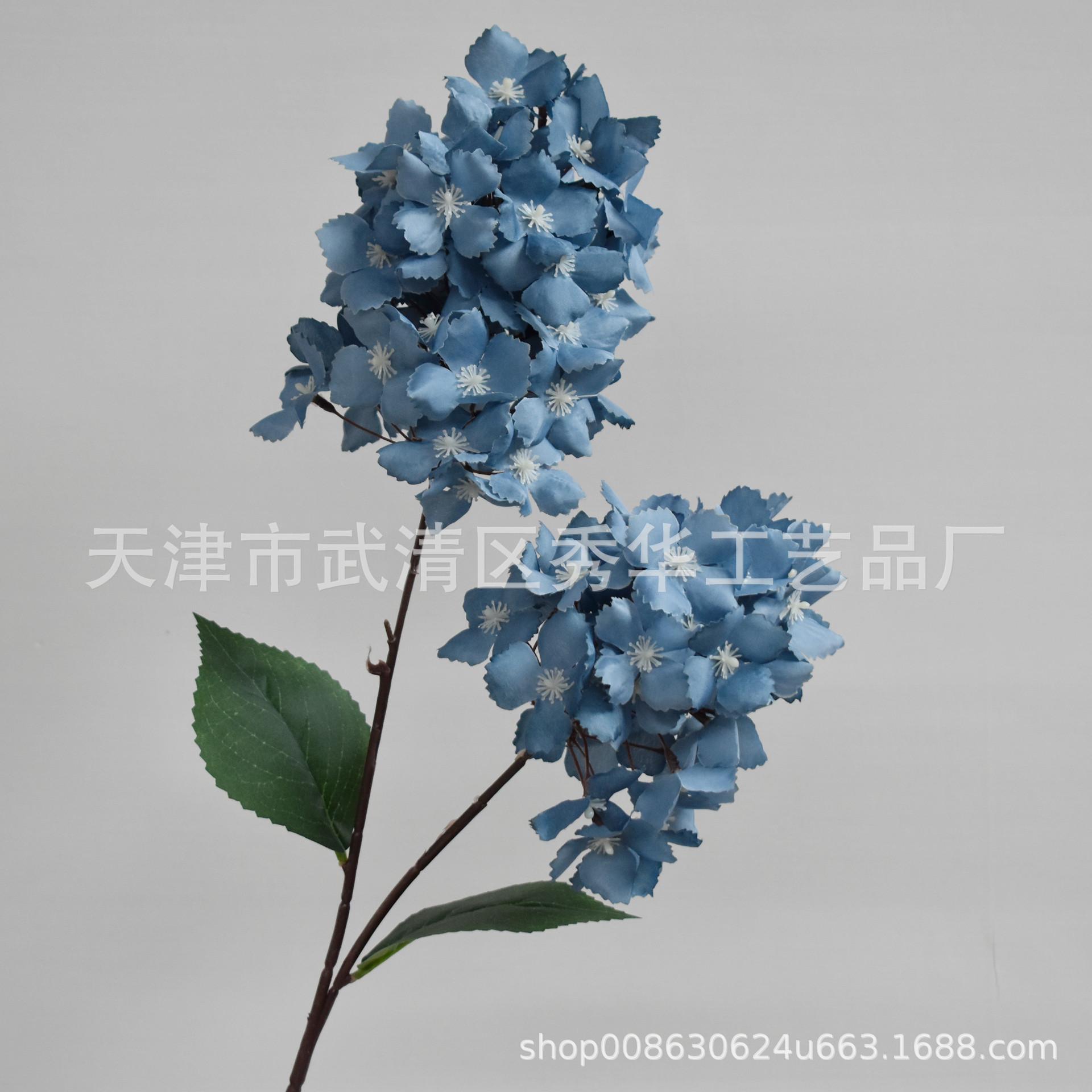 2头绣球 雾霾兰