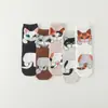 Calcetines de comercio exterior transfronterizos estilo académico coreano japonés para mujer, lindos calcetines de gatito de dibujos animados para otoño e invierno, fabricantes al por mayor