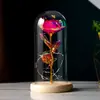 Flor Eterna Flor de Rosa Pantalla de Lámpara de Vidrio Flor de Simulación Navidad Día de San Valentín Regalo de Cumpleaños Regalos Pequeños Creativos Adornos