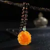 Cadena para Suéter de Cera de Abejas Ámbar Imitación Incrustada con Conchas Fósiles de Plantas Collares de Moda para Hombres y Mujeres Accesorios de Transmisión en Vivo de Exposición