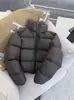 Jaqueta de algodão corta-vento transfronteiriça de gola alta curta para mulheres, nova tendência de inverno estilo coreano, moderna, acolchoada, quente, jaqueta puffer ultraleve para pessoas baixinhas