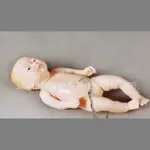 高级新生儿脐带护理模型 护理模型 婴儿护理模型医学模型