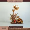 Escena de decoración de escaparate de tienda de ropa con flores de otoño, juncos, hierba y flores secas para una transmisión en vivo con temática femenina