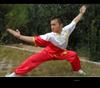Uniforme Bordado de Dragão para Tai Chi, Uniforme de Treino para Crianças, Uniforme de Treino em Grupo, Uniforme de Competição de Tai Chi, Estilo Chinês com Mangas Longas e Padrão de Dragão