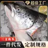 Cabeça de Salmão Norueguês, Salmão Sem Gelo, Cabeça de Peixe Cortada em V, Frutos do Mar Atacado Comercial, Cabeça de Salmão, Dropshipping