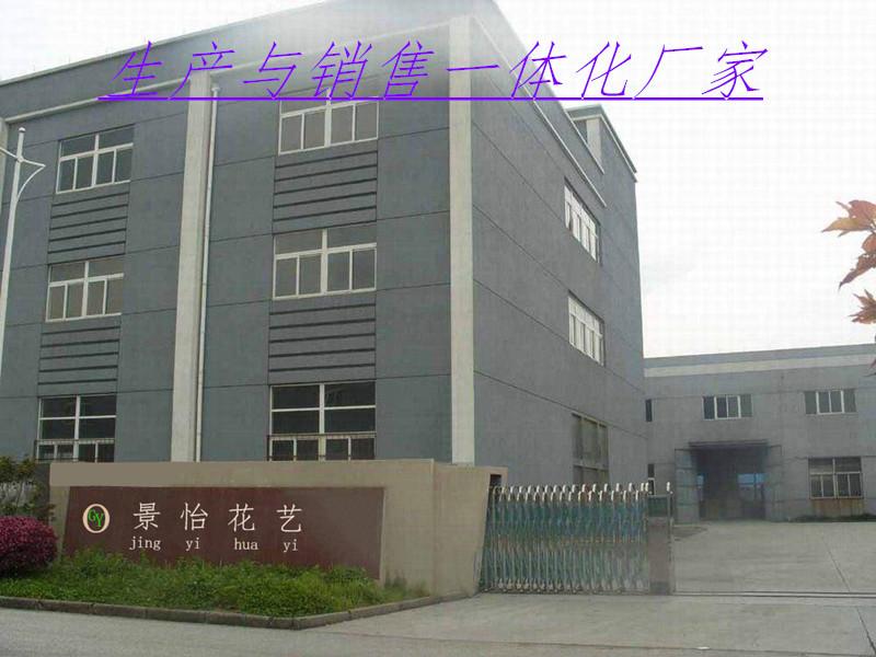 timg_副本