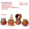 Maceta para pulgar suculenta mini mini maceta para pulgar maceta de cerámica para flores suculentas planta creativa flor pequeña Ma Long mesa Mai Tai Bao