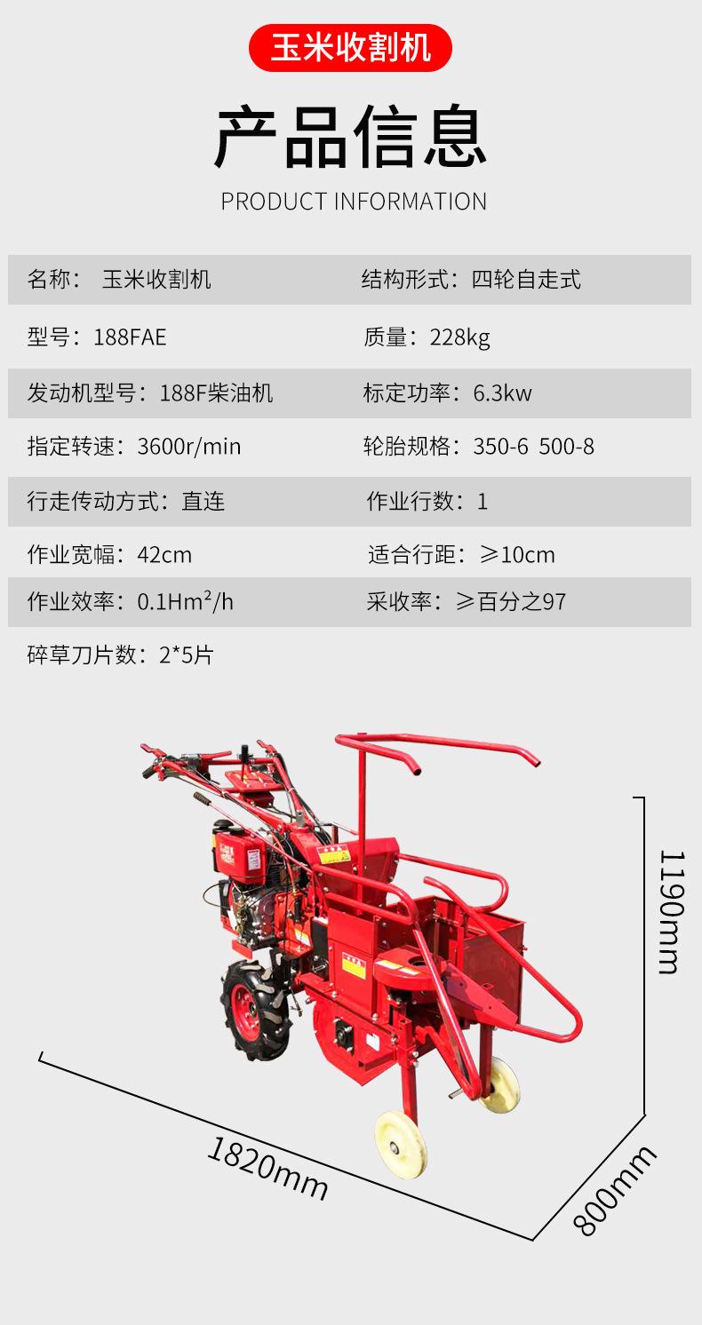 玉米4_01_05