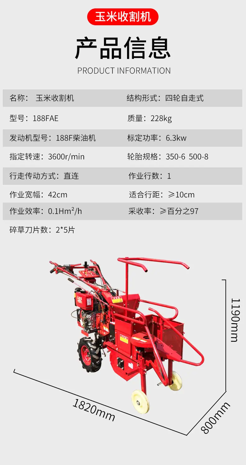 玉米4_01_05