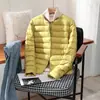 Chaqueta Ligera de Plumas Transfronteriza 2024 para Mujer Corta Cuello Redondo Forro Cálido Ajustada Delgada Ropa Interior Chaqueta Talla Grande Moderna