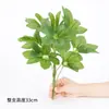 Pata de Pato Madera Planta Artificial Fabricante Venta Directa Decoración Paredes Vegetales Materiales Hogar Balcón Decoración Pata de Pato Vegetación Artificial