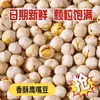 Grão de Bico Crocante Pronto para Comer Especialidade Sabor Original Embalado Sem Dessecante Lanches Casuais Grão de Bico Pronto para Comer