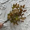 Imitação de flores Folhas de eucalipto Plástico Verde Plantando Folhas de dinheiro Flor falsa Mesa de jantar Estilo Mori Flor-estilo Flor-estilo Cross-border Hot Sale
