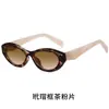 Óculos de Sol Cat-Eye Transfronteiriços Pa Mesmo Estilo Personalidade Estilo Hot Girl Óculos de Moda Europeus e Americanos 9069 Proteção UV