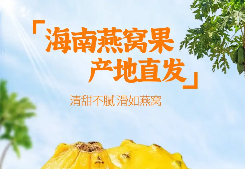 海南燕窝果详情图1