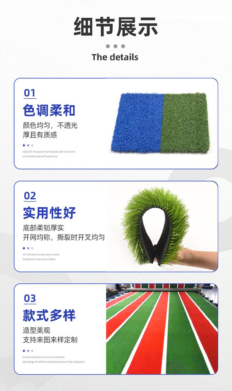 运动场草坪_10.jpg