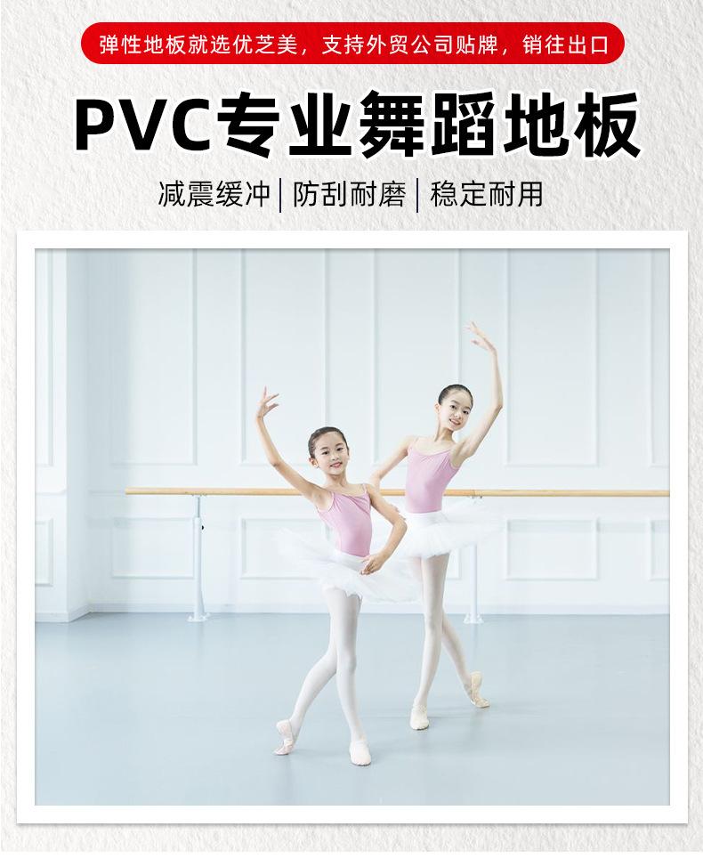 舞蹈地胶综合1_01.jpg