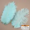 Accesorios de ropa de plumas de avestruz de colores materiales de decoración de bodas accesorios de plumas hechos a mano DIY decoración del hogar