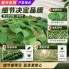 Rede de Camuflagem Camuflada, Teto Anti-Pendurado para Fotografia ao Ar Livre Cf, Malha de Camuflagem para Sombreamento e Proteção Solar para Verdorização de Selva