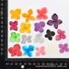 Hortênsia Embossada Flor Seca Planta de Pão Espécime Marcador de Página Artesanal Infantil Cartão Postal Flor Seca Maquiagem diy Material de Cola de Gota