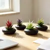 Maceta pequeña plana transfronteriza planta de aloe vera artificial en maceta decoración para interior hogar y oficina escritorio planta suculenta bonsái