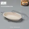 Comercio Electrónico Transfronterizo Caja Desechable para Almuerzo Caja para Empaque de Frutas Caja de Compartimento Único/Doble Ecológica Biodegradable Salida de Primavera Picnic Camping