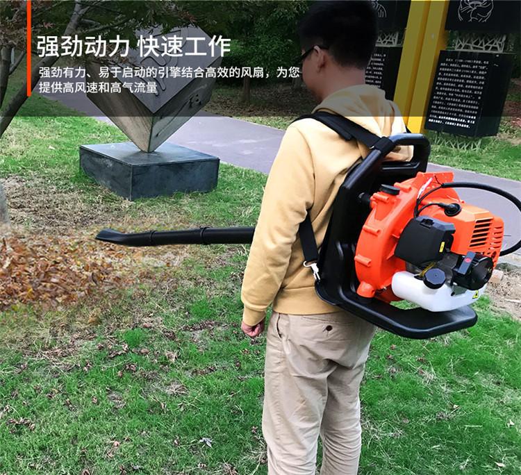 5_副本