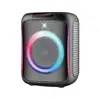 Altavoz Inalámbrico para Exteriores 6.5 pulgadas Bluetooth Audio Ap-W113Zl Portátil para el Hogar Cantando con Micrófono Karaoke