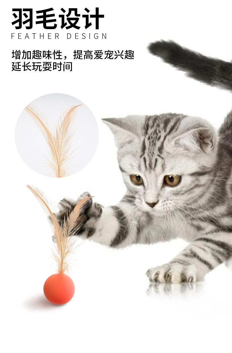 宠物弹力球3.jpg